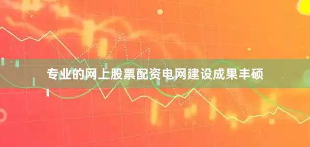 专业的网上股票配资　　电网建设成果丰硕