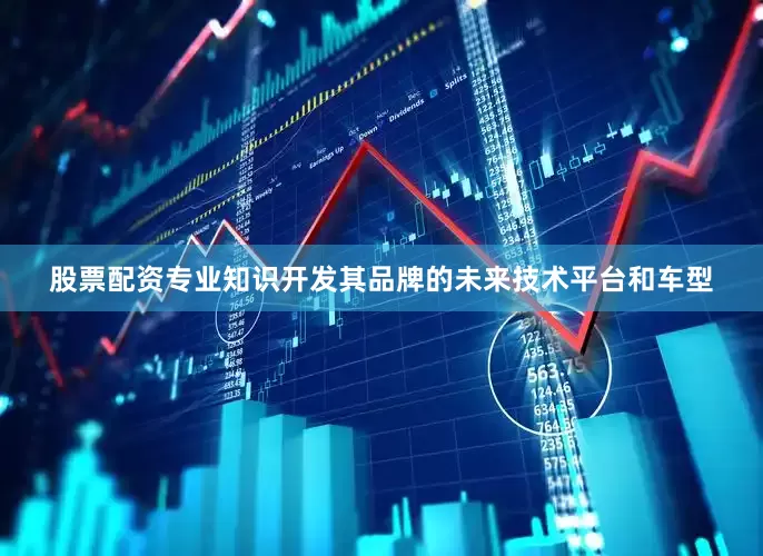 股票配资专业知识开发其品牌的未来技术平台和车型
