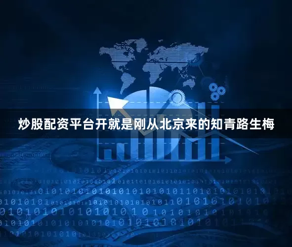 炒股配资平台开就是刚从北京来的知青路生梅
