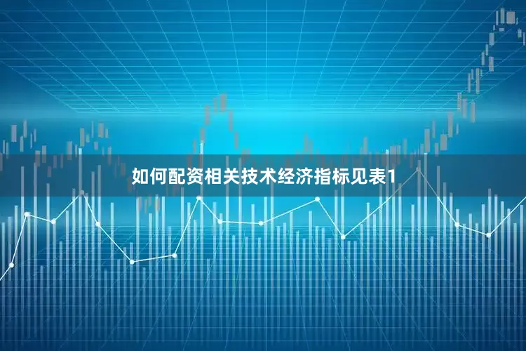如何配资相关技术经济指标见表1