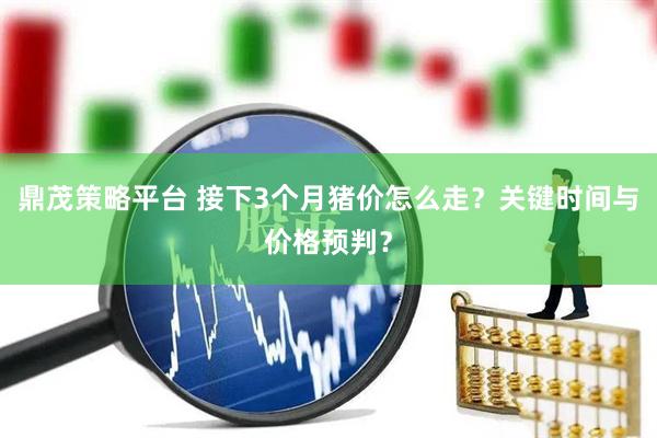 鼎茂策略平台 接下3个月猪价怎么走？关键时间与价格预判？