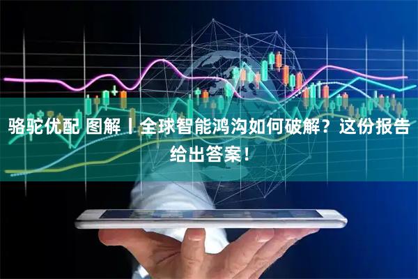 骆驼优配 图解丨全球智能鸿沟如何破解？这份报告给出答案！